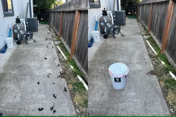 Before and After Product