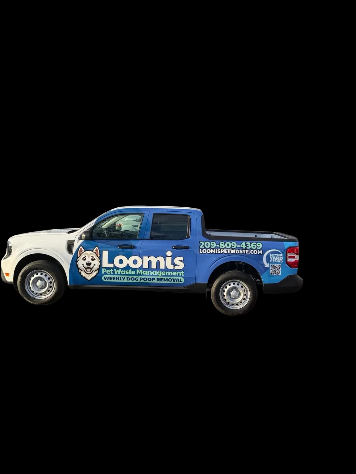 Professional dog poop pickup and pooper scooper service in Modesto, CA